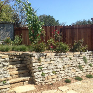 Urbanite Native Garden