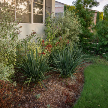 Culver City Residential Retreat