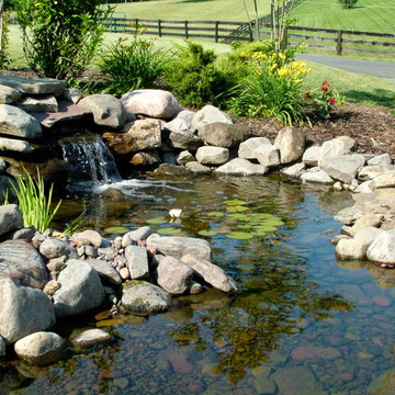 Ponds