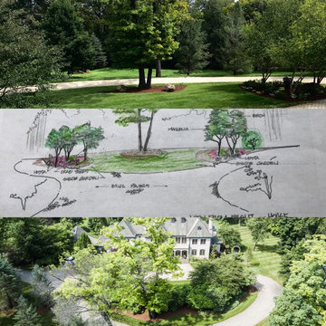 Front  Island After, Drawing, and Before