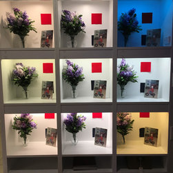 Galleries & Displays - Undercabinet Lighting