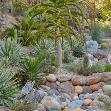 Mill Valley - Full Design & Install