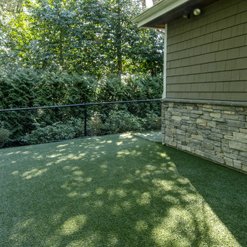 Bellevue Residential Backyard for Dogs