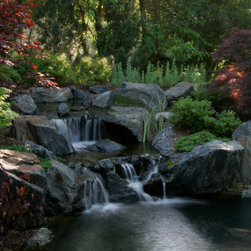 Natural Swim Pools, adding natural clarity and beauty into your backyard