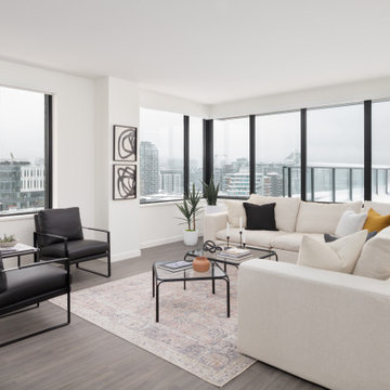 Living Room - Contemporary