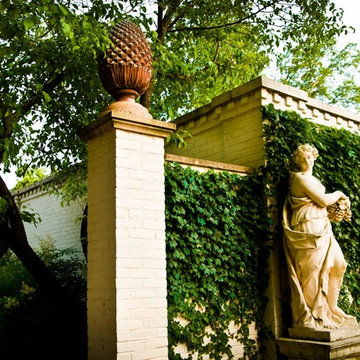 Boxwood