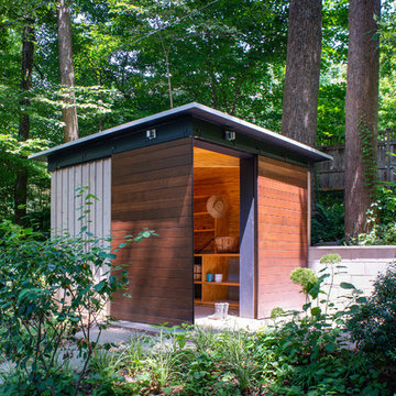 treehouse shed