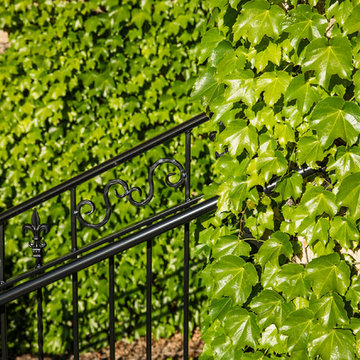 Texture through Vines