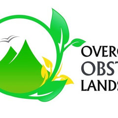 Overcoming Obstacles Landscaping