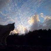 Zeynep Sumens foto