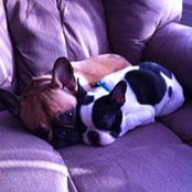 Amie Warmus's photo