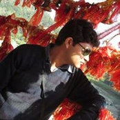 Foto di Nitin Goyal