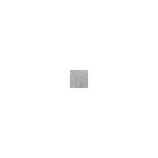 David's photo