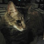 Barbara Curran's photo