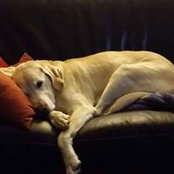 Leslie Daly's photo