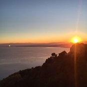Nicole Vassallo's photo