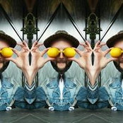 Levan Tsagos foto