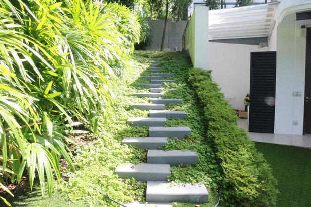 Современный Сад by Polybuilding Singapore