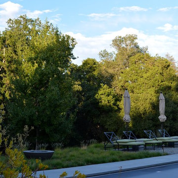 Los Altos Landscape Garden Design