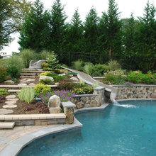 Landscape Ideas