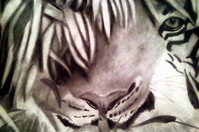 tiger in the jumgle