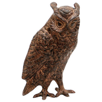 Achla Screech Owl, OWL-02
