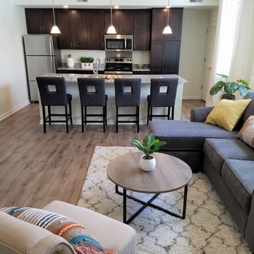 Plymouthtowne Apartment Models