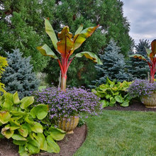Container gardening