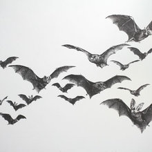 Wall decals