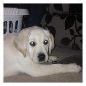 Scott Hilland's photo