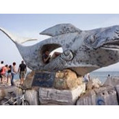 Victor Yelevich's photo