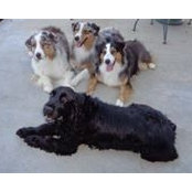 Beverly Dermody's photo