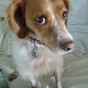 Melissa Johnson's photo