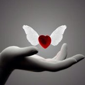 Jan Bailes Raio's photo