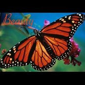 Hans Vanden Berg's photo