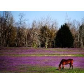 Rosemarie Louca's photo