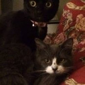 Debbie Stamper's photo