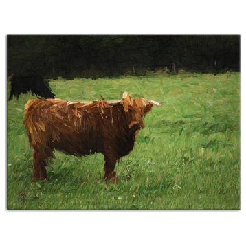 Hairy Brown Cow 24x18 Canvas