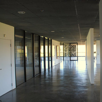 Dominus Estate