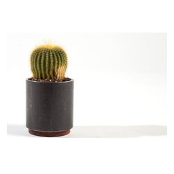 House & Garden - Products