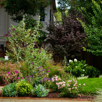 Atherton Pollinator Haven