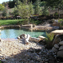 natural pool