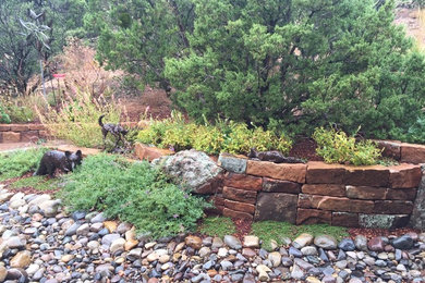 Inspiration for a traditional landscaping in Albuquerque.
