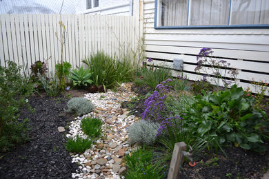 This is an example of an australian native modern garden in Melbourne.