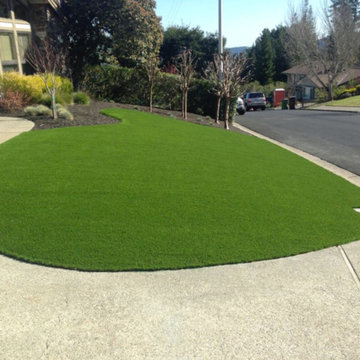 Front yard artificial turf