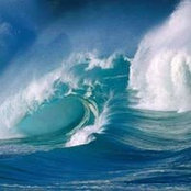 Annarita Brongo's photo
