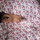 Christine Talal