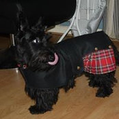 Debbie Borland's photo