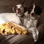Marcia Ledford's photo