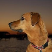 Tim Wright's photo